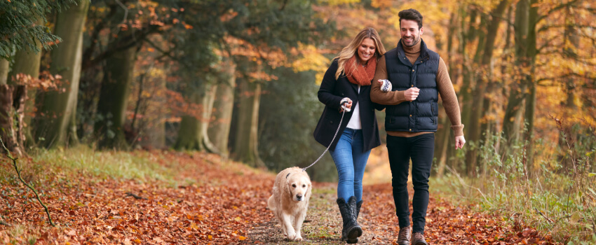 Loving couple walking with a dog